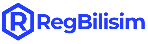 RegBilisim